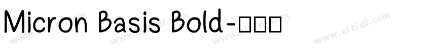 Micron Basis Bold字体转换